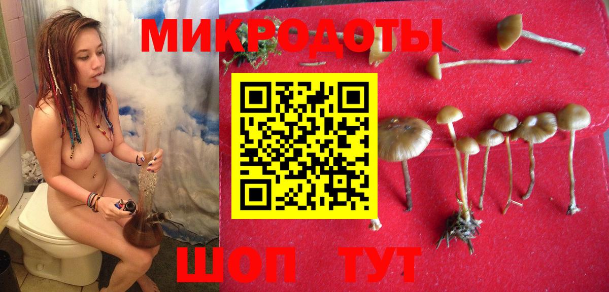 Галлюциногенные грибы Cubensis Тольятти
